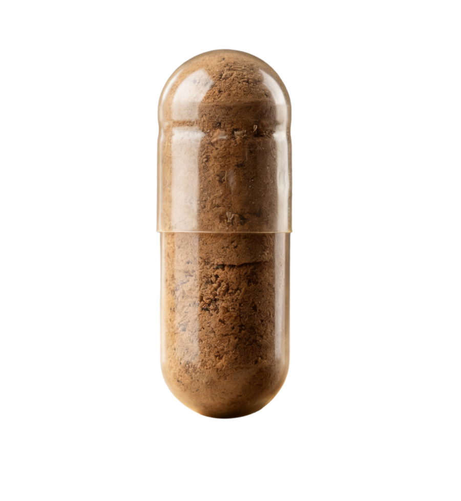 How Our KSM-66® Capsules Helps Your Body?