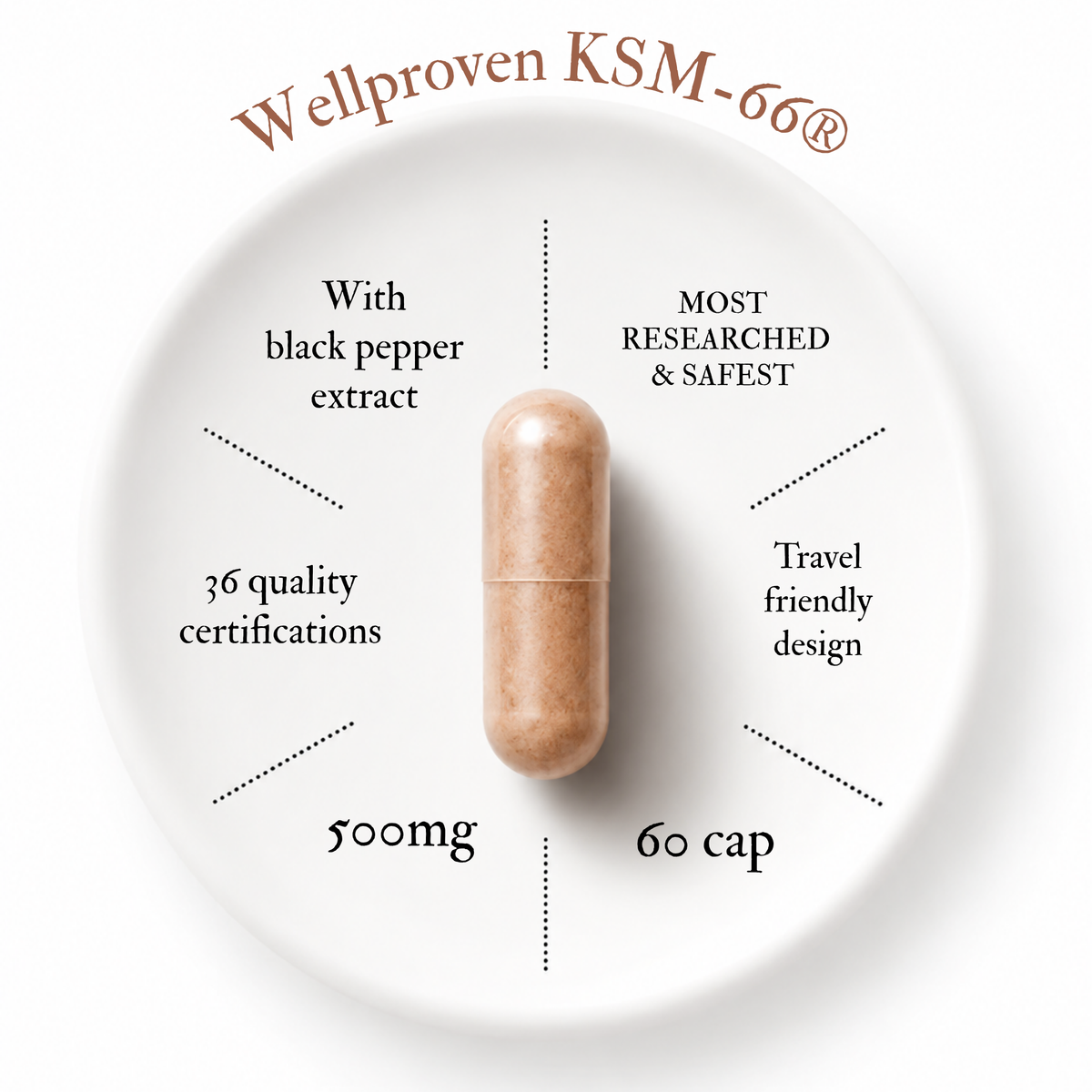 Wellproven Ashwagandha KSM-66 500mg capsule with black pepper extract, shown in an infographic highlighting 60 capsules, quality certifications and travel-friendly design.