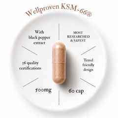 Wellproven Ashwagandha KSM-66 500mg capsule with black pepper extract, shown in an infographic highlighting 60 capsules, quality certifications and travel-friendly design.