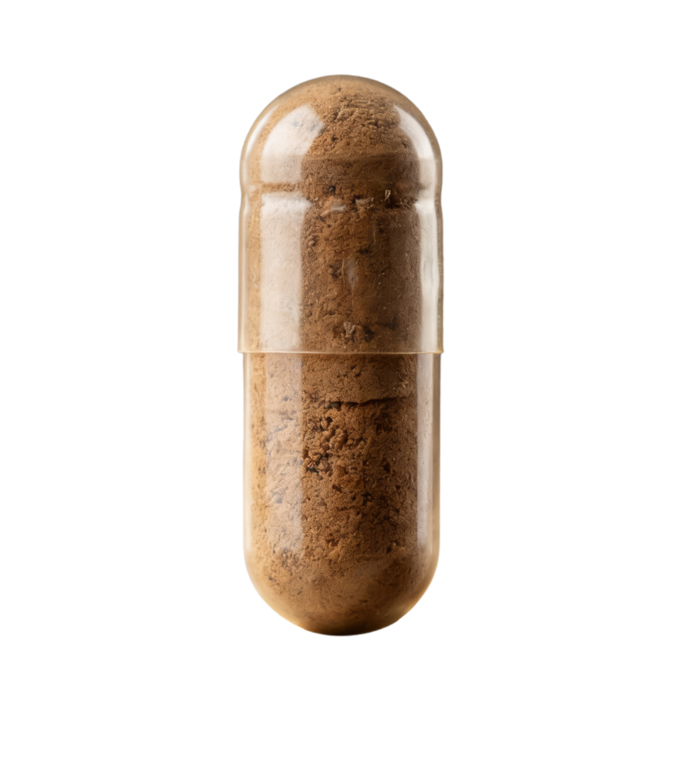 How Our KSM-66® Capsules Helps Your Body?
